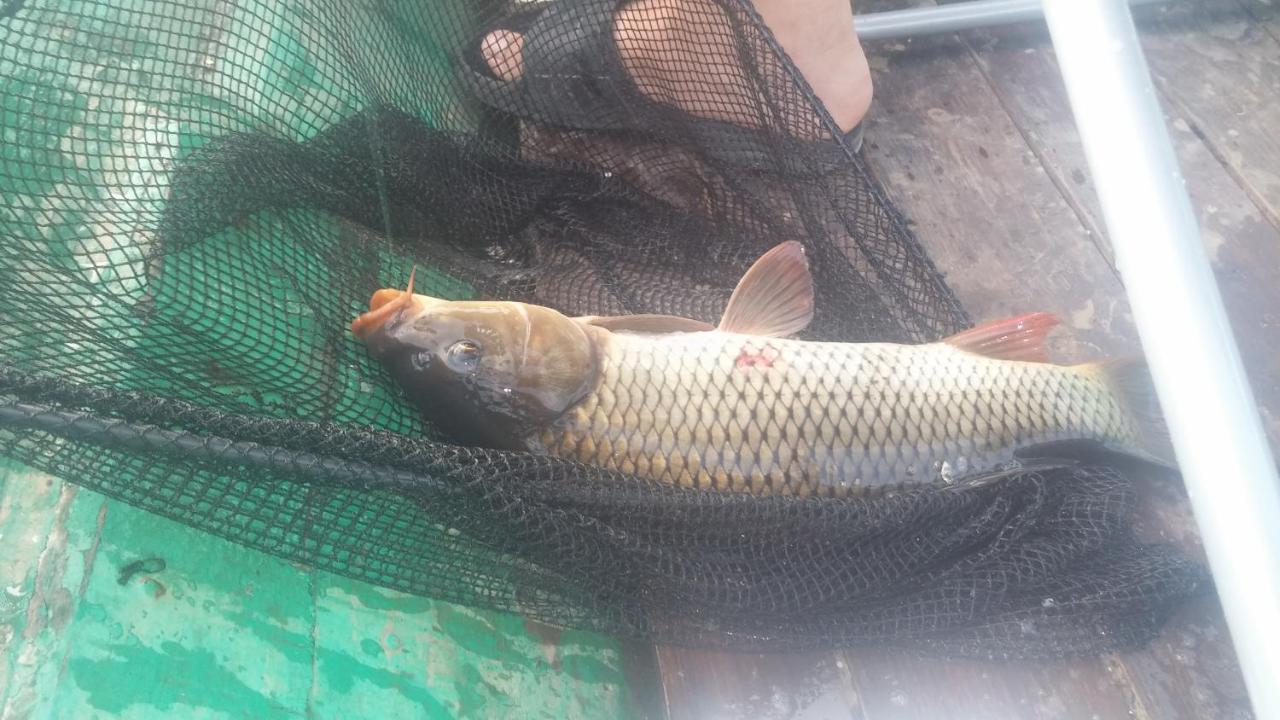 Skadar Lake - Karuc Apartments מראה חיצוני תמונה